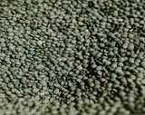 French Green Lentils - Organic