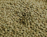Brown Lentils - NZ Grown