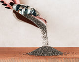 Chia Seeds - Black, Organic