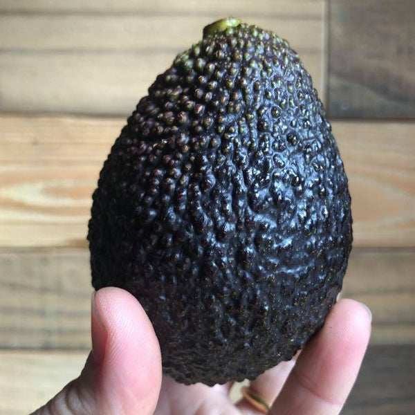 Avocados
