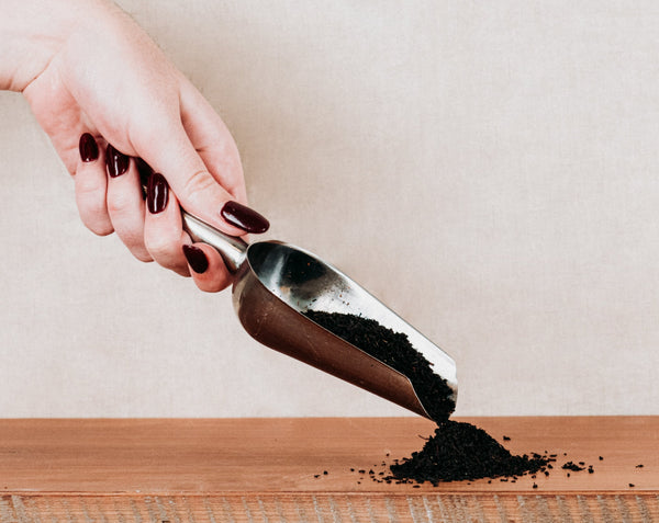 Black Tea - Organic, Fairtrade