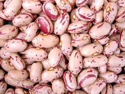 Borlotti (Cranberry) Beans