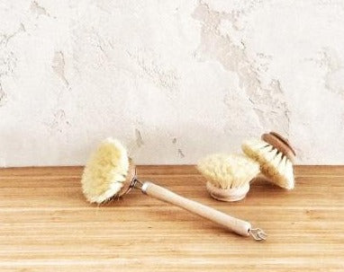 Dish Brush - 40mm with replaceable head